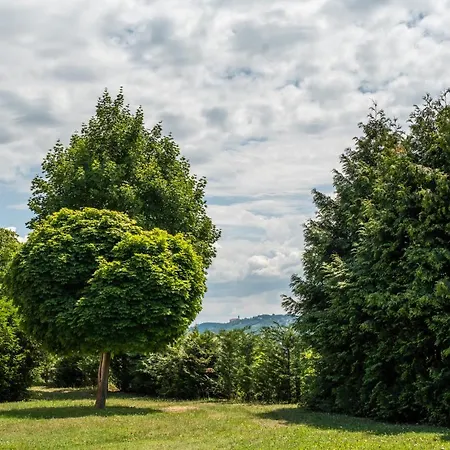 Myriviera Apartment Balatonfured