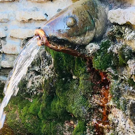 Myriviera * באלאטונפורד